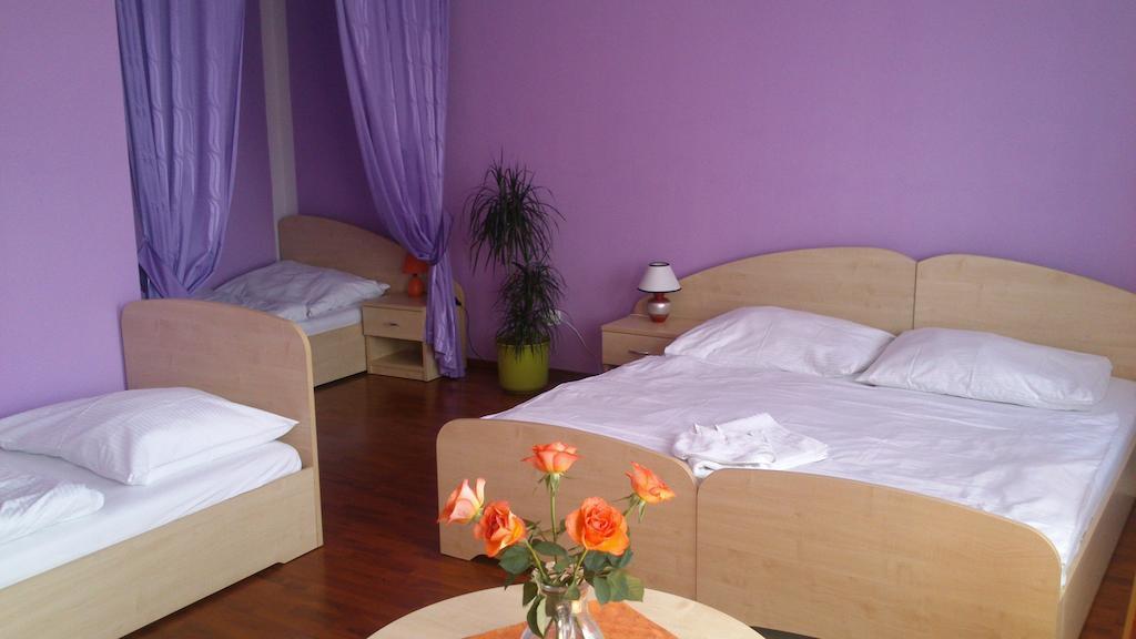 Hotel & Motorest V Udoli Zlateho Potoka Blsany Rum bild