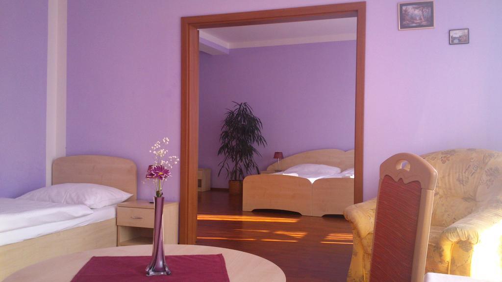 Hotel & Motorest V Udoli Zlateho Potoka Blsany Rum bild