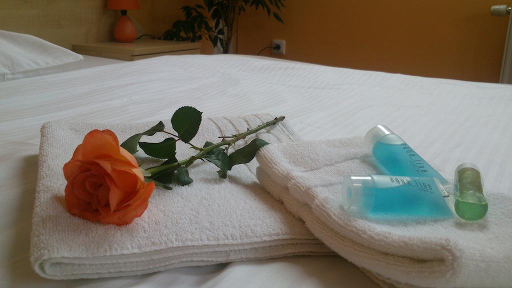 Hotel & Motorest V Udoli Zlateho Potoka Blsany Rum bild